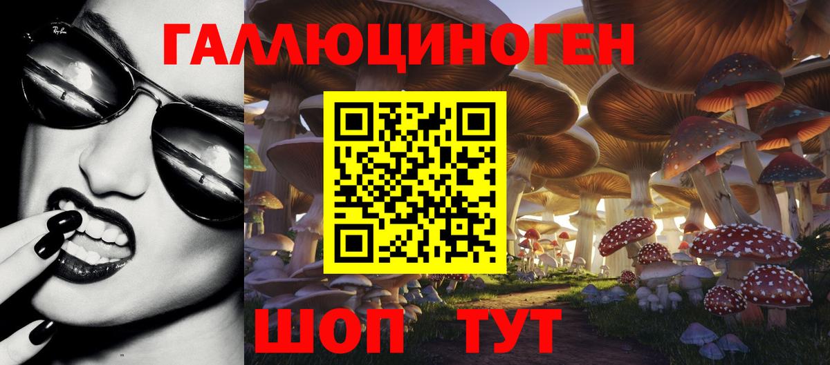 Псилоцибиновые грибы GOLDEN TEACHER Дзержинск
